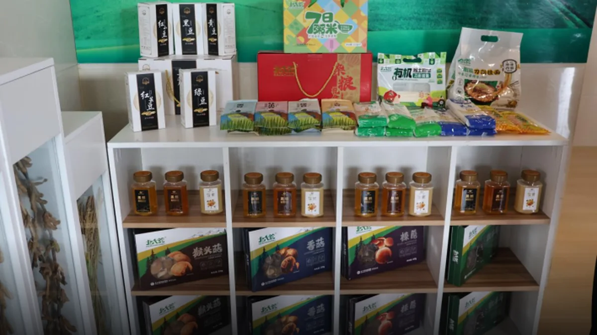 北大荒食品金蝶客户案例