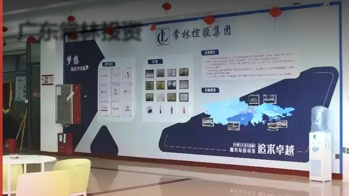 广东常林投资案例