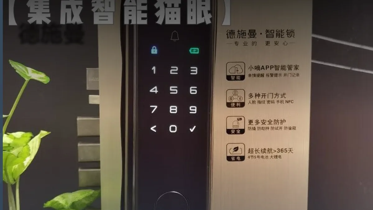 德施曼案例