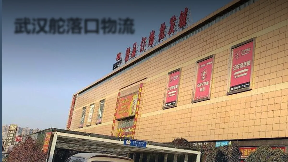 武汉舵落口物流案例